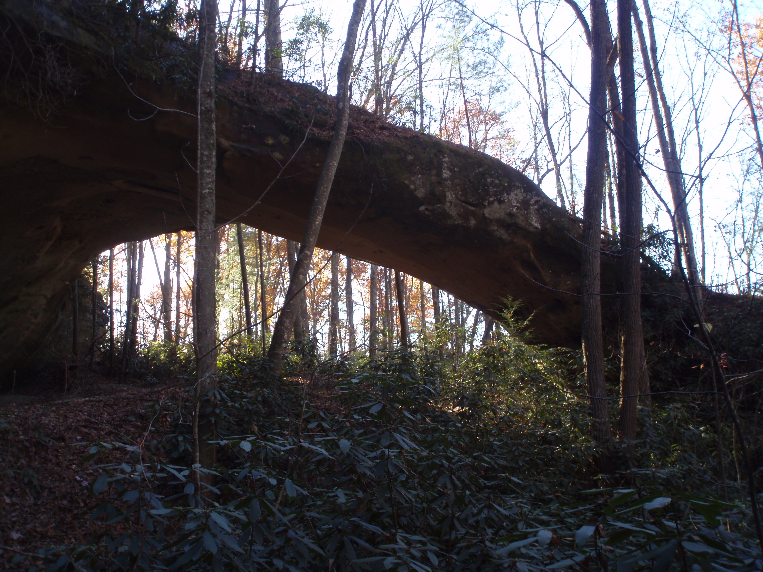 Buffalo Arch