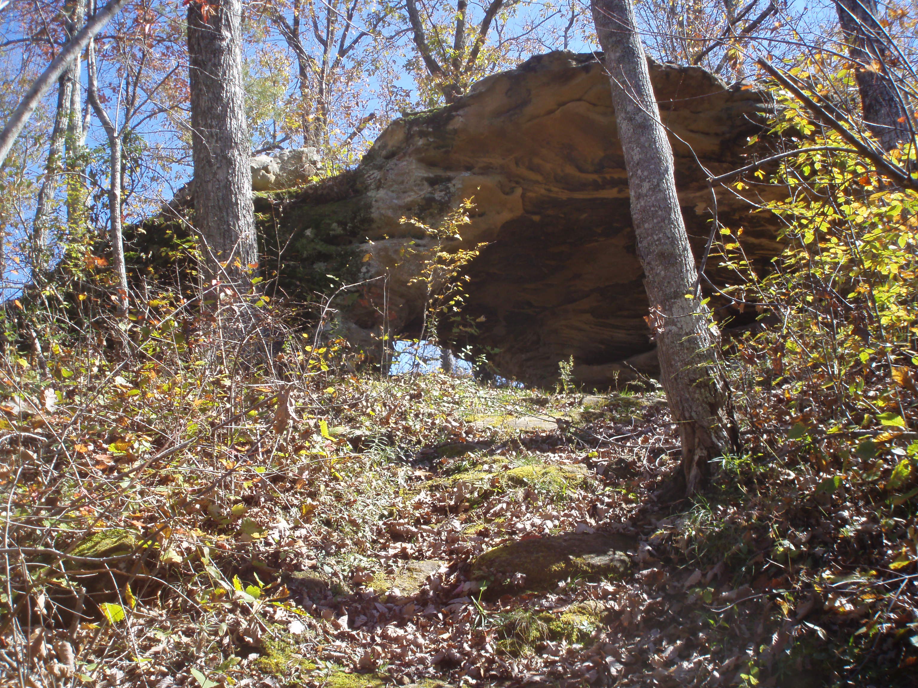 Buzzard Creek Arch