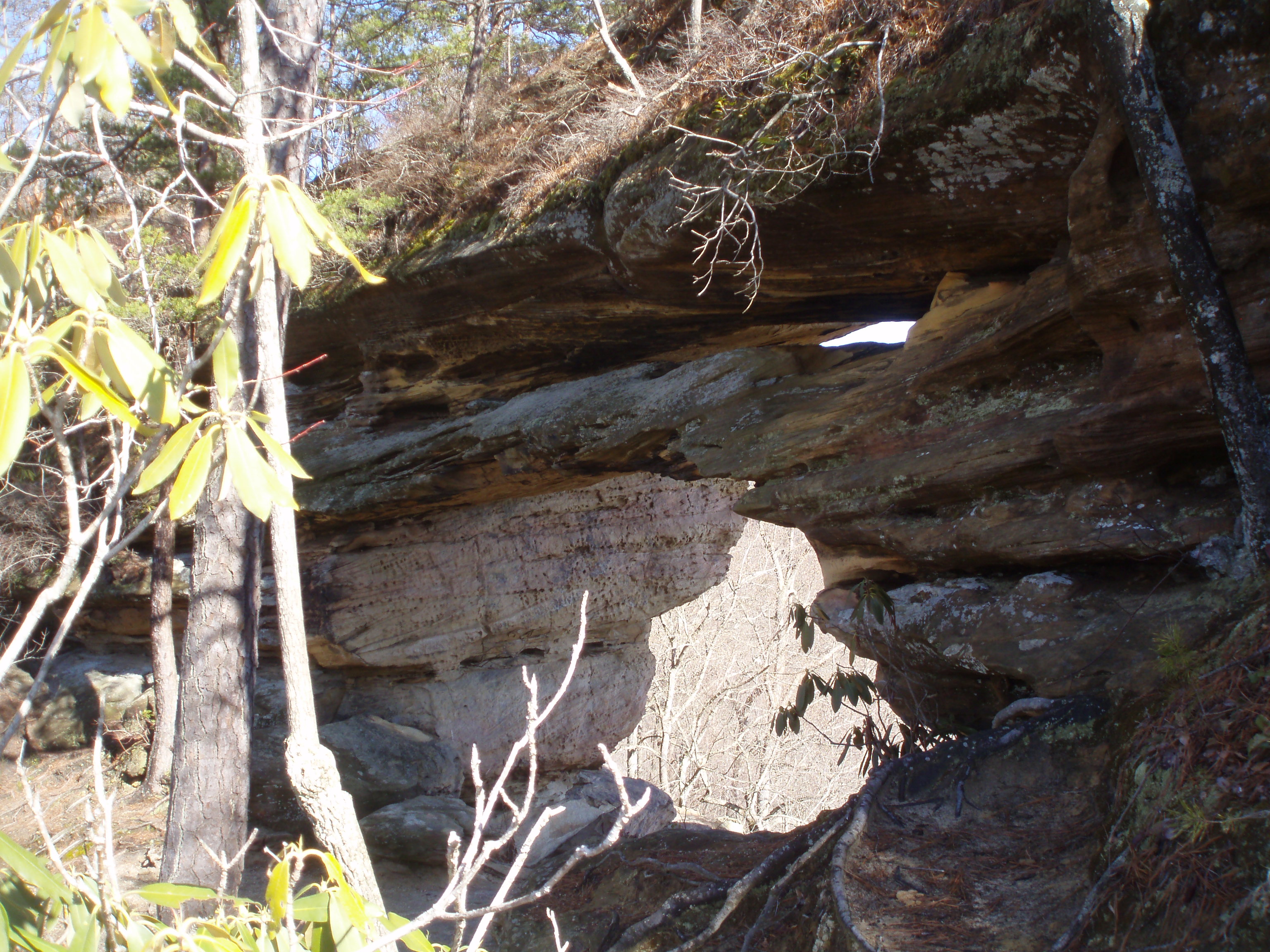 Double Arch