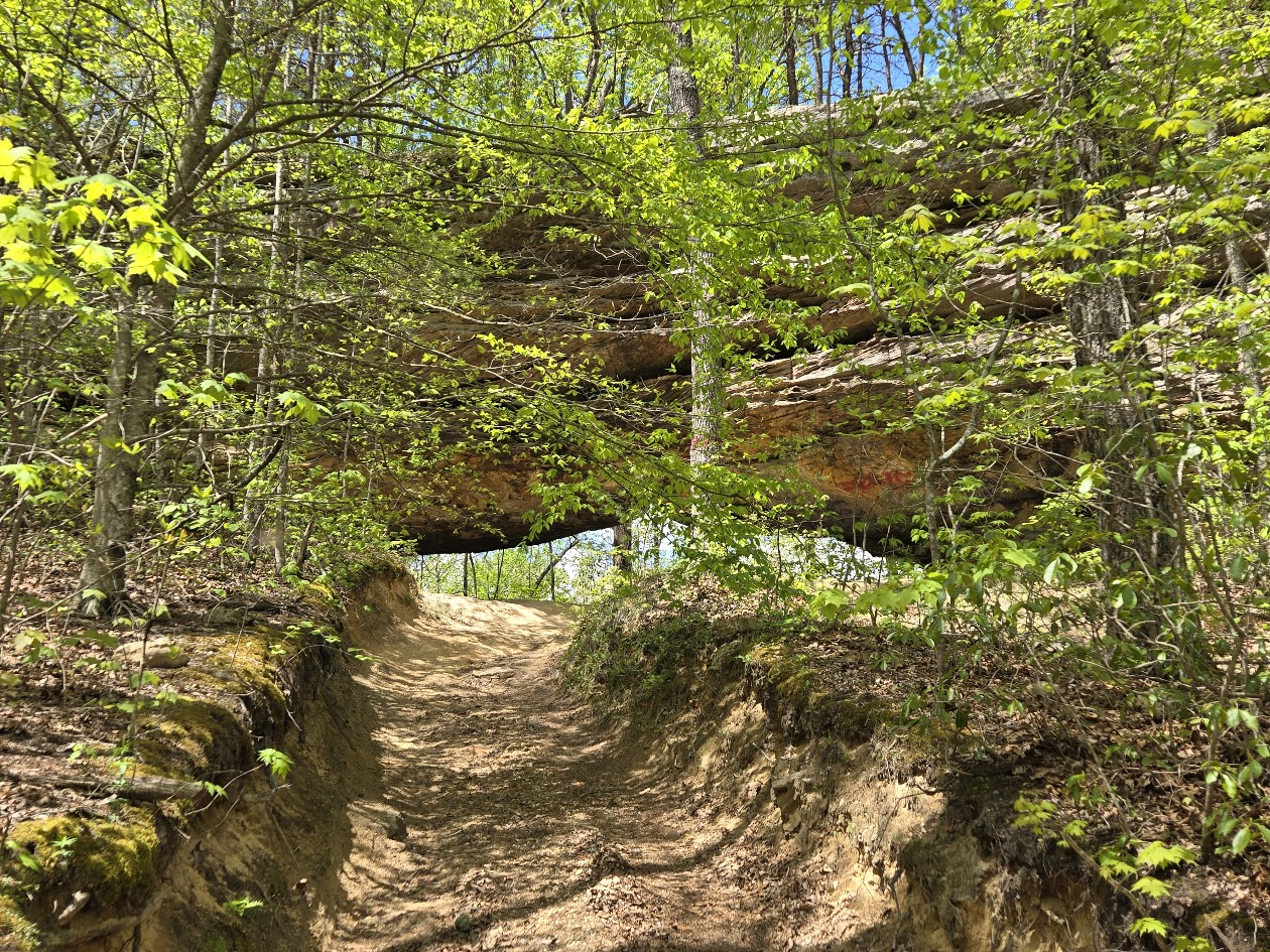 Hollow Rock Ky 50