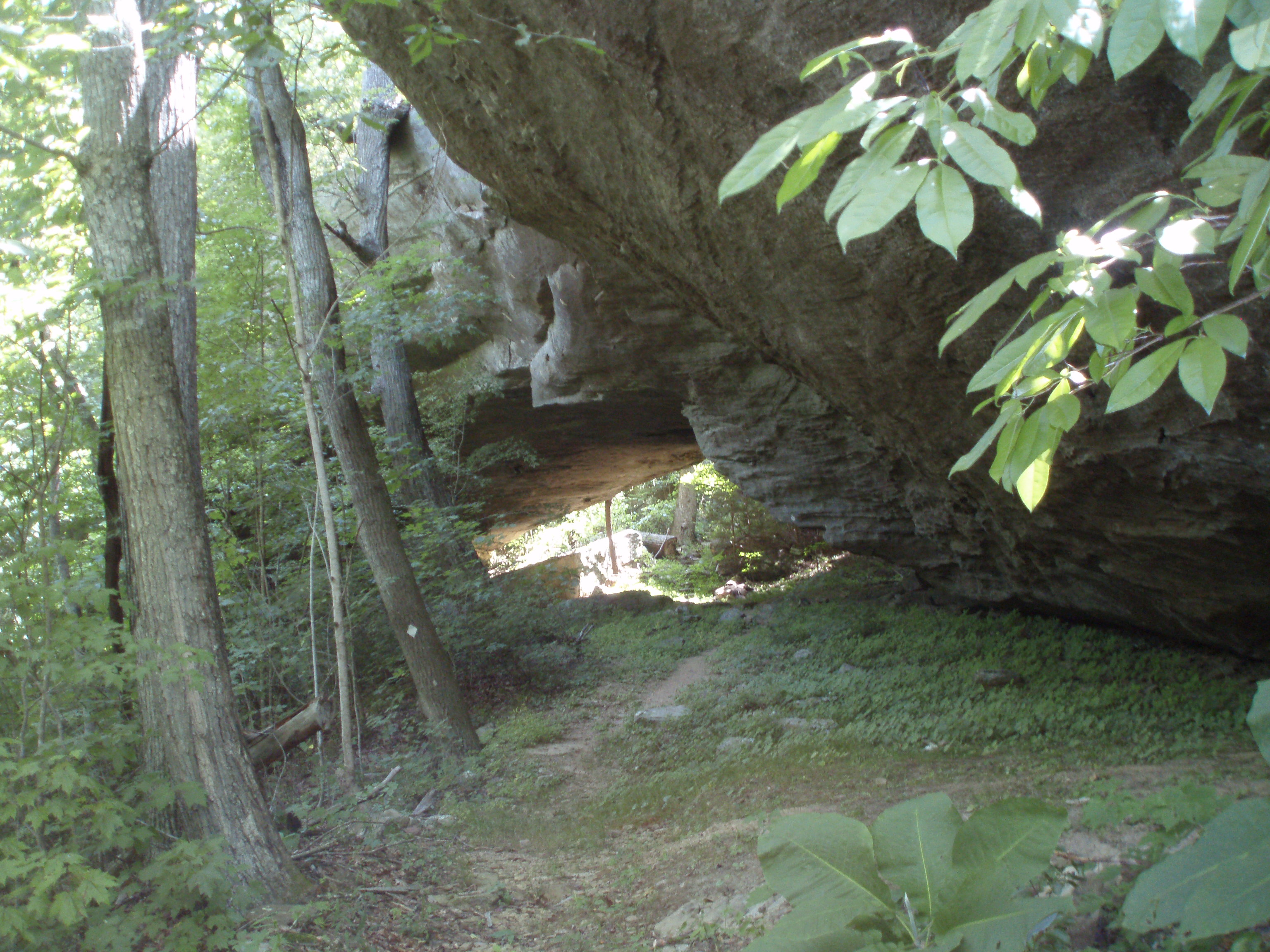 Koger Arch