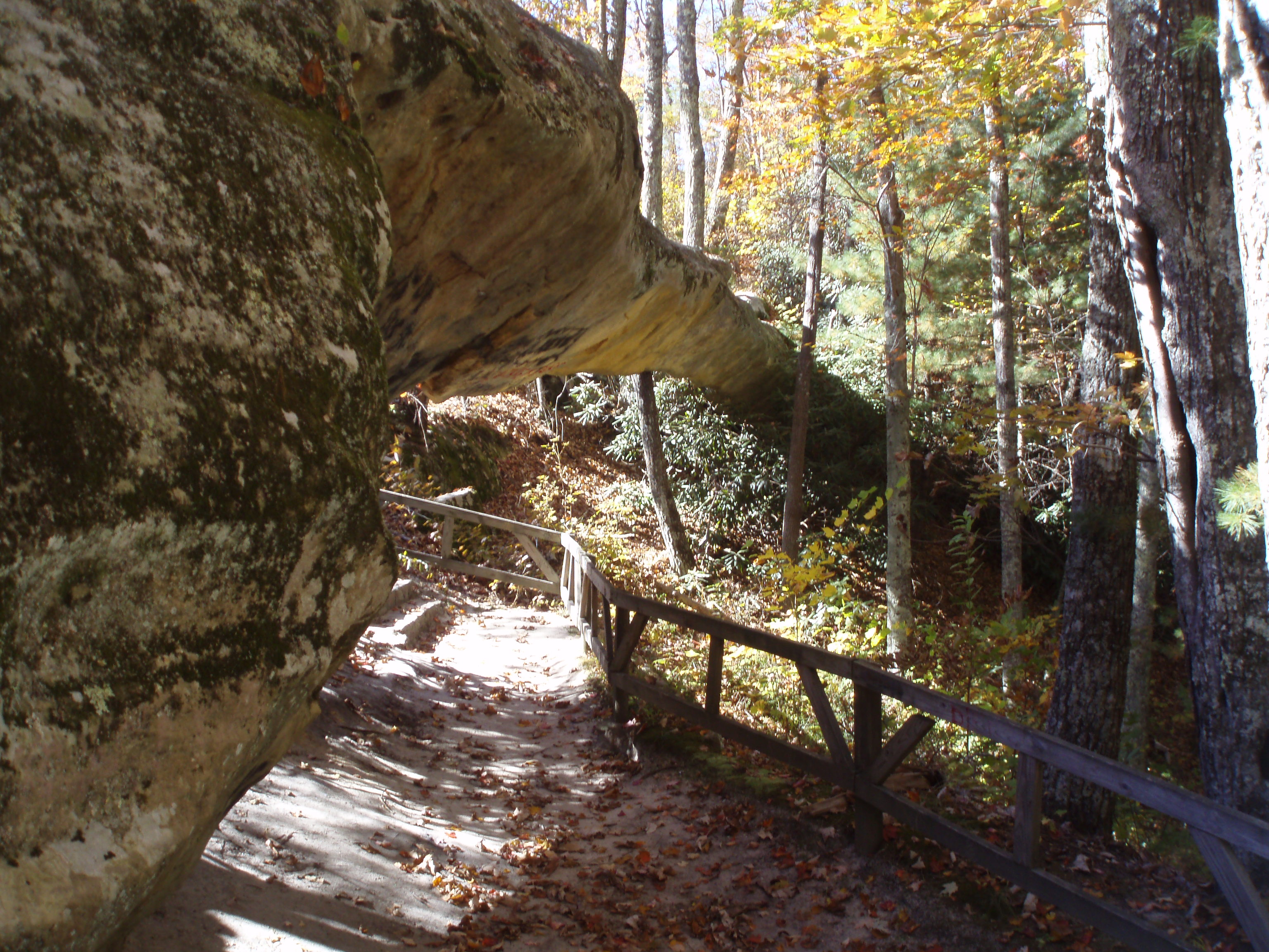 Log Rock