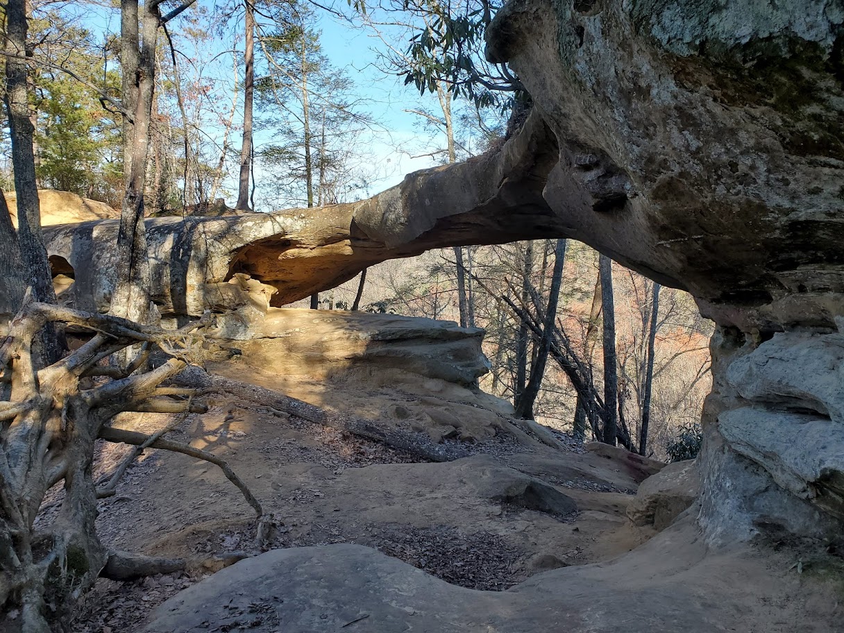 Princess Arch