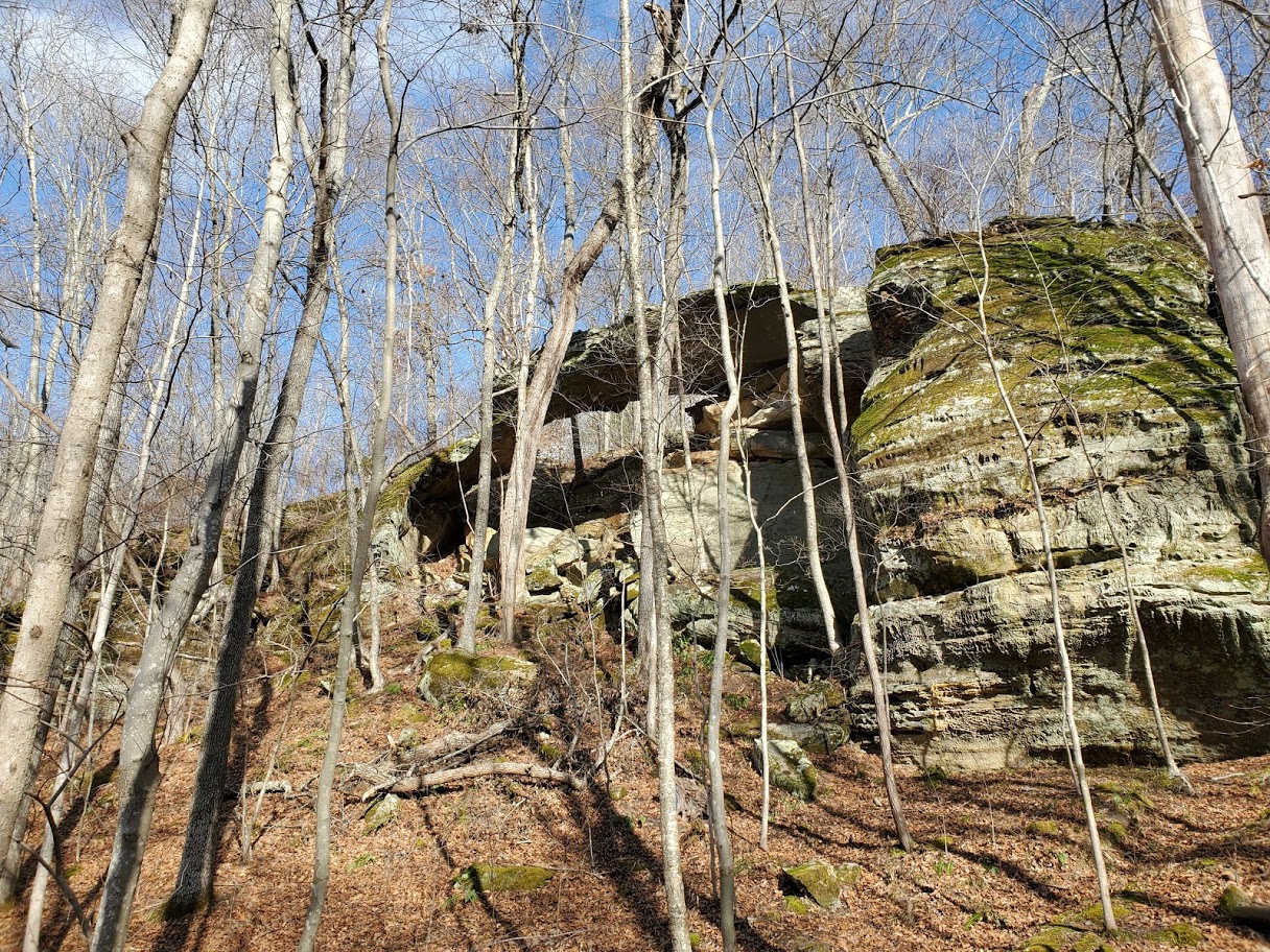Raven Bridge
