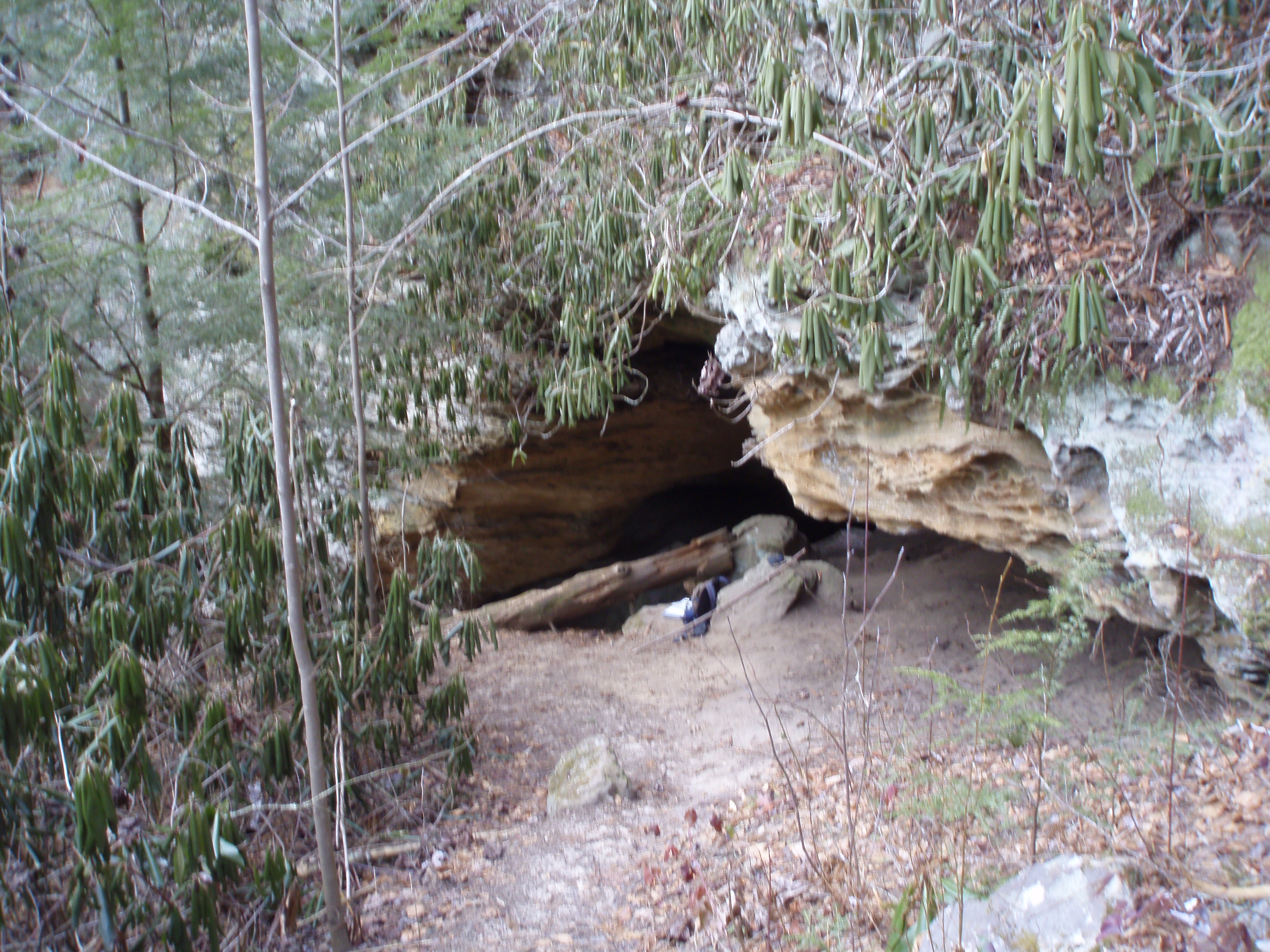 Silvermine Arch