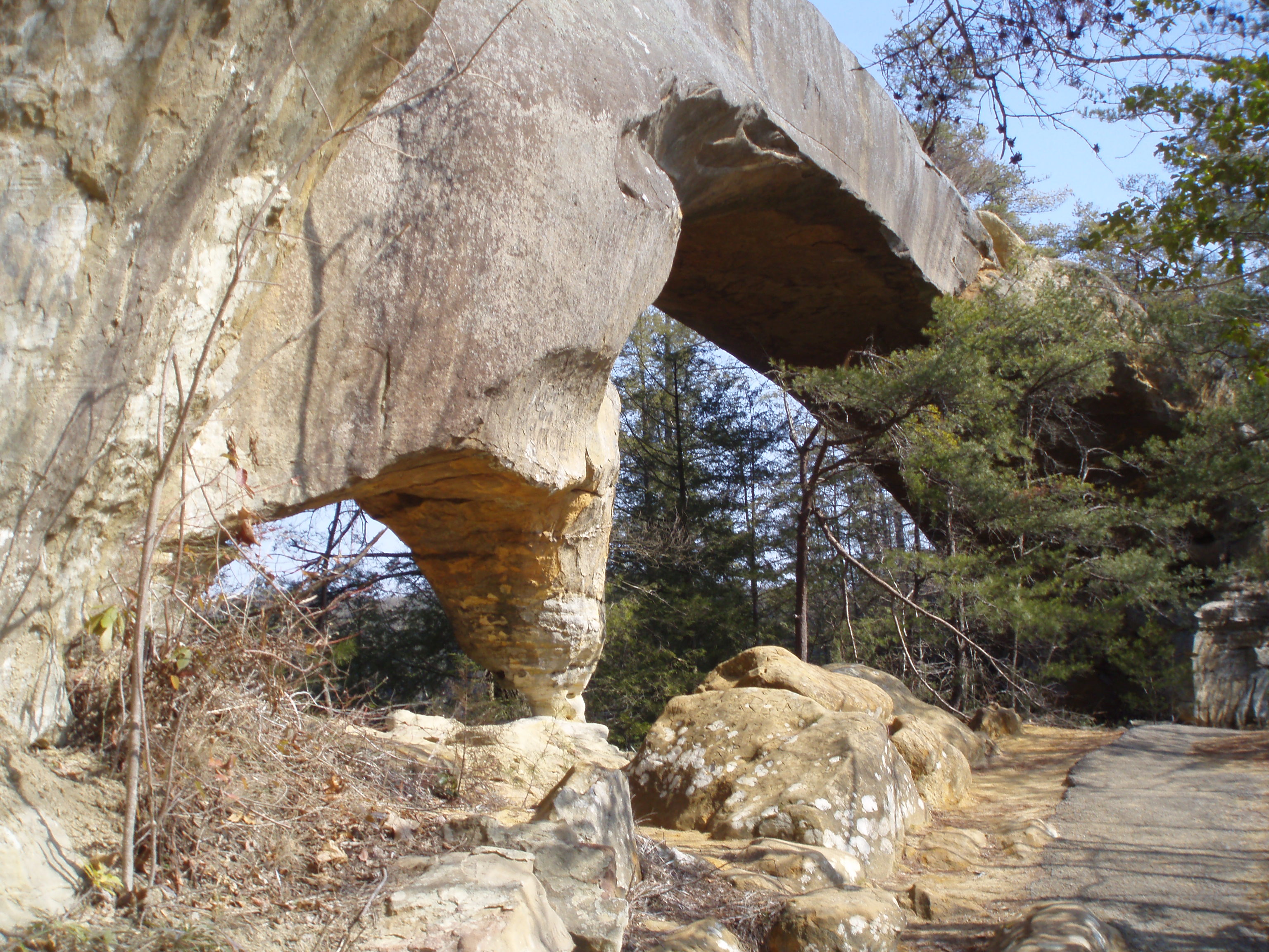 Sky Bridge