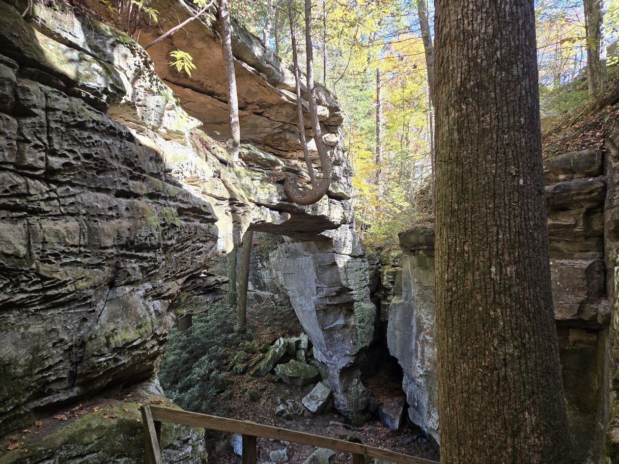 Split Bow Arch