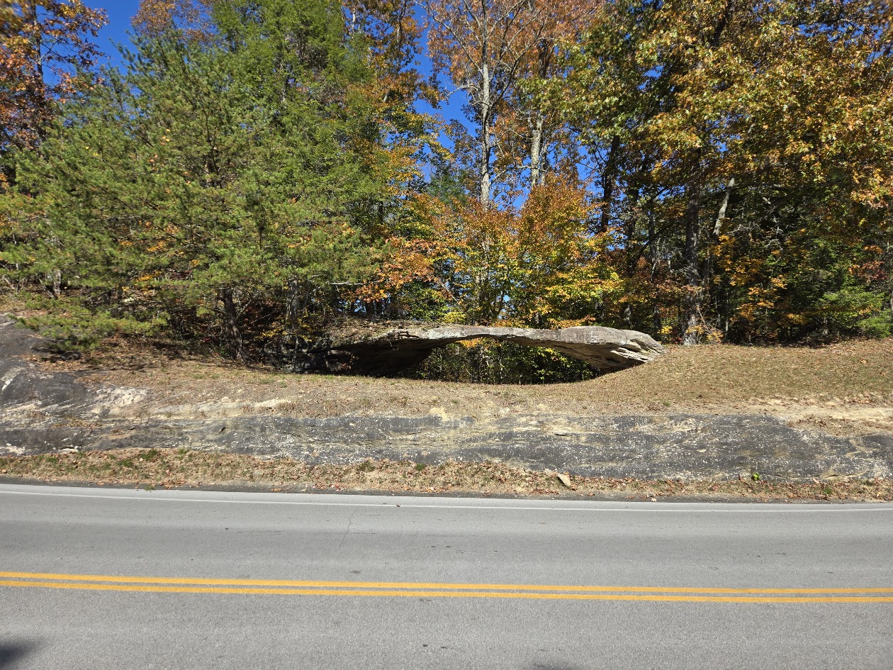 Wagon Arch