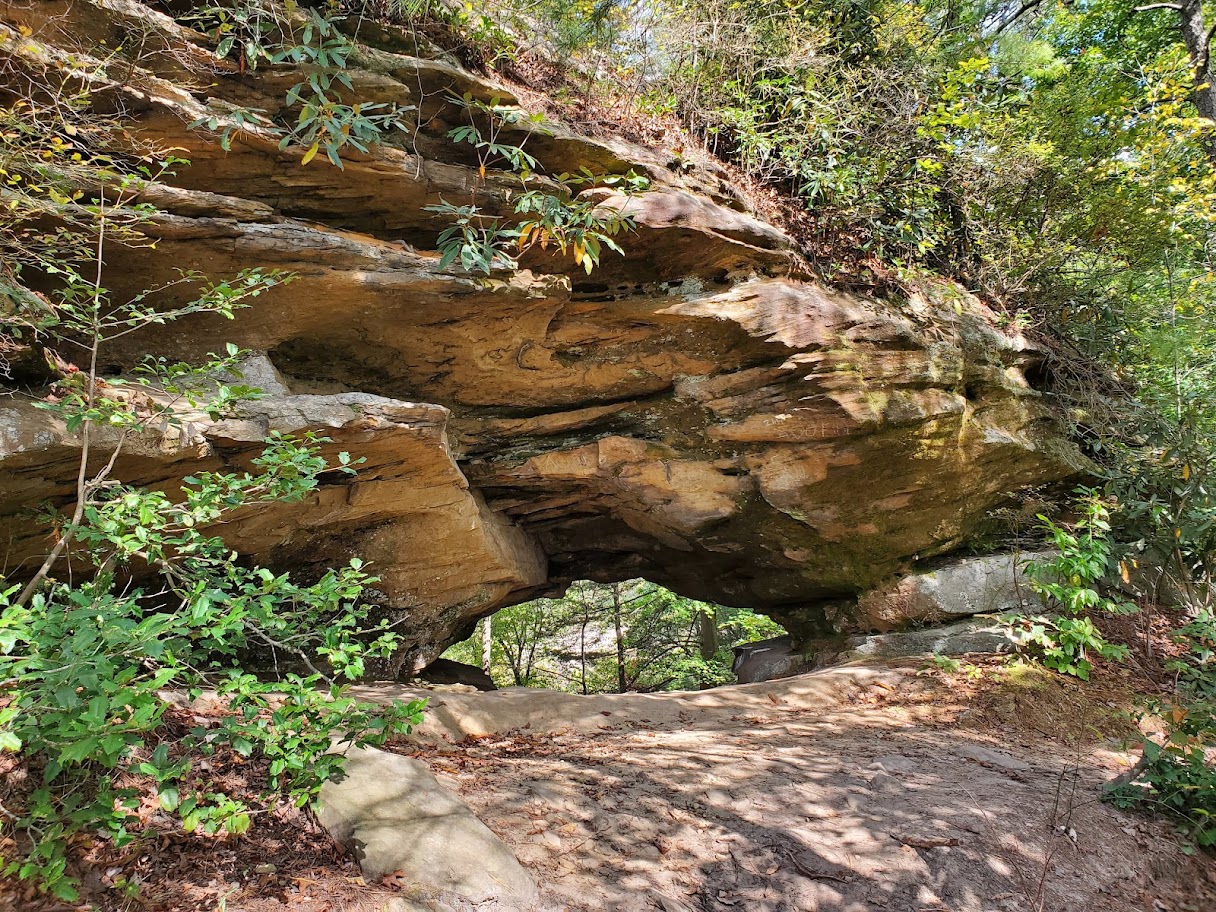 Whistling Arch